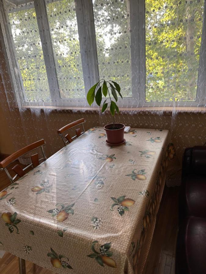 Апартаменты У Парка Голубые Купола И Цум Apartments At Blue Dome Park 塔什干 外观 照片